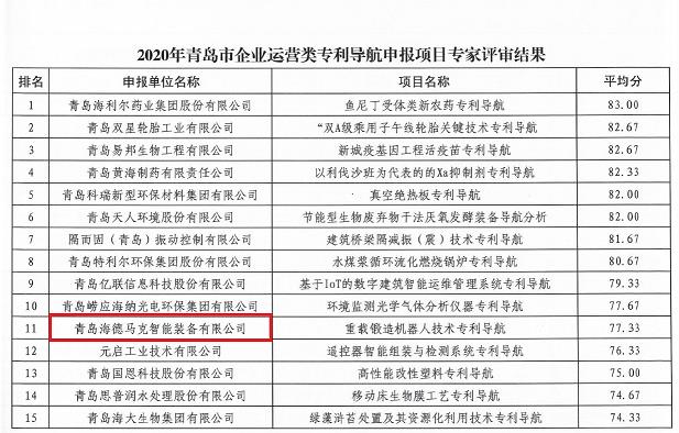專(zhuān)利導(dǎo)航申報(bào)項(xiàng)目.jpg